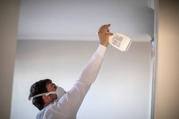 Best Crawl Space Mold Removal  in Richnd, MO