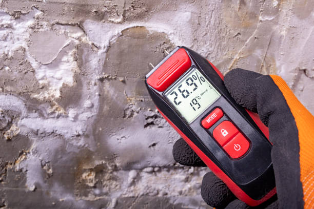 Best Best Mold Removal Companies  in Richnd, MO