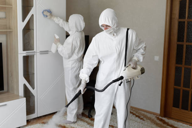 Home Mold Removal in Richmond, MO