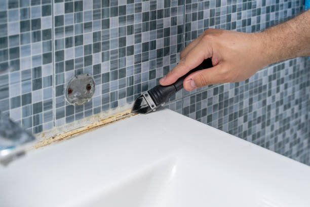 Best Black Mold Removal  in Richnd, MO