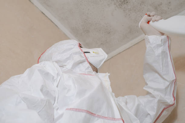 Best Office Mold Removal Services  in Richnd, MO