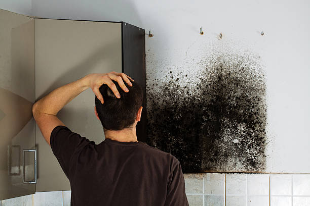 Best Residential Mold Removal  in Richnd, MO